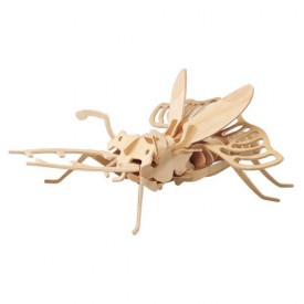 Dřevěné 3D puzzle dřevěná skládačka hmyz - Brouk E007