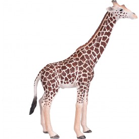 Mojo Animal Planet Žirafa samec