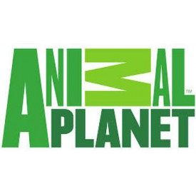 Mojo Animal Planet Brožura 2019