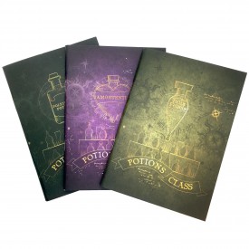 Sešity A6 Harry Potter - Potions (3 ks)