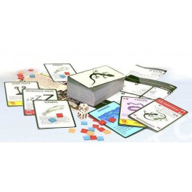 Společenské hry - hračky