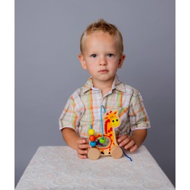 Společenské hry - hračky