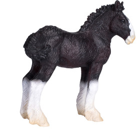 Mojo Shirský kůň hříbě