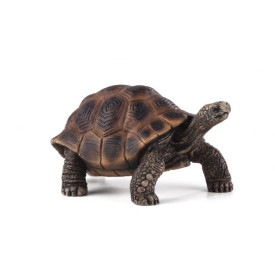 Společenské hry - hračky