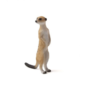 Společenské hry - hračky