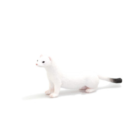 Společenské hry - hračky