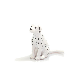 Společenské hry - hračky