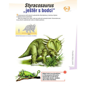 Společenské hry - hračky