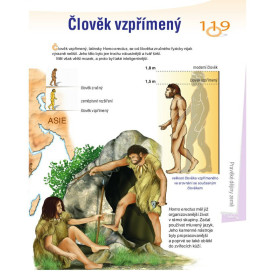 Společenské hry - hračky