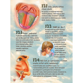 Společenské hry - hračky