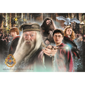 CLEMENTONI Puzzle Harry Potter 104 dílků