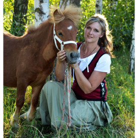 Společenské hry - hračky