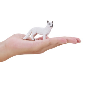 Společenské hry - hračky