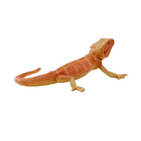 Společenské hry - hračky