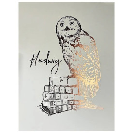 Obraz Harry Potter - Hedvika
