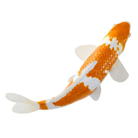 Společenské hry - hračky