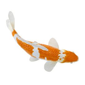 Společenské hry - hračky