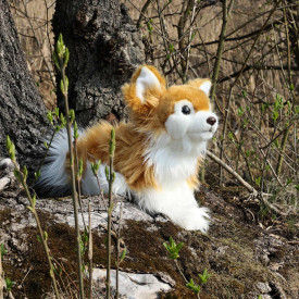 Společenské hry - hračky