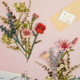 Společenské hry - hračky