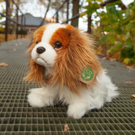 Společenské hry - hračky