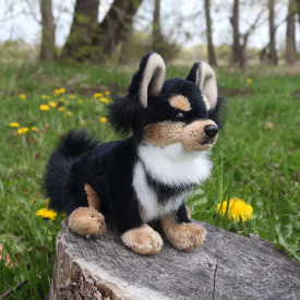 Společenské hry - hračky