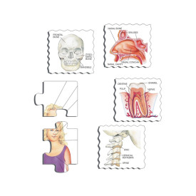 Společenské hry - hračky