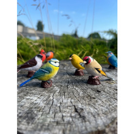 Společenské hry - hračky