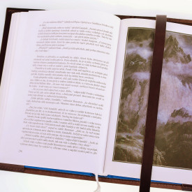 Společenské hry - hračky