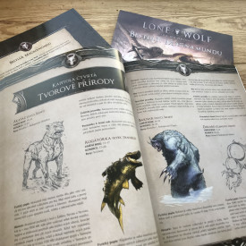 Společenské hry - hračky