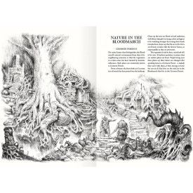 Společenské hry - hračky