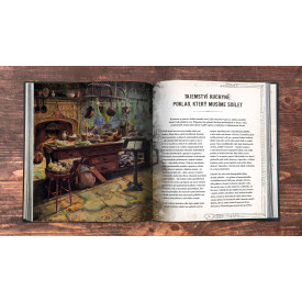 Společenské hry - hračky