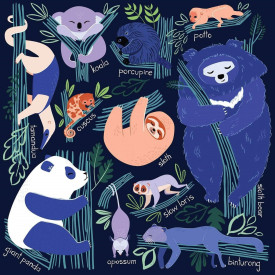 Společenské hry - hračky