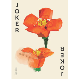 Společenské hry - hračky