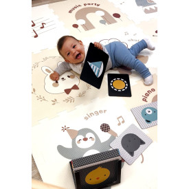 Společenské hry - hračky