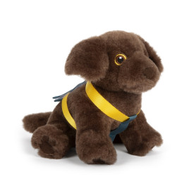 Společenské hry - hračky