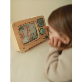 Společenské hry - hračky