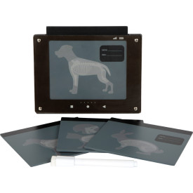 Společenské hry - hračky