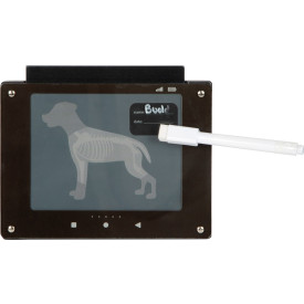 Společenské hry - hračky