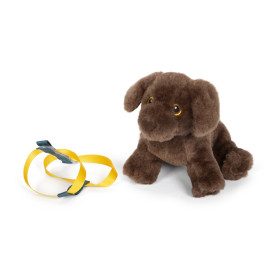 Společenské hry - hračky