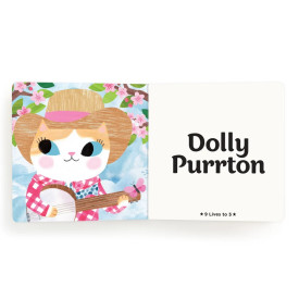 Společenské hry - hračky