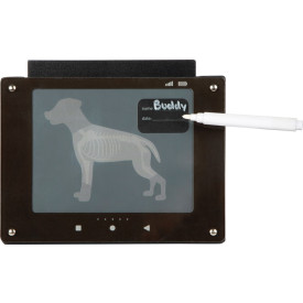 Společenské hry - hračky