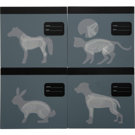 Společenské hry - hračky