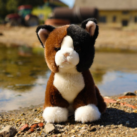 Společenské hry - hračky