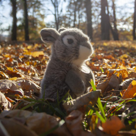 Společenské hry - hračky