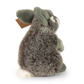 Společenské hry - hračky