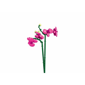 Společenské hry - hračky