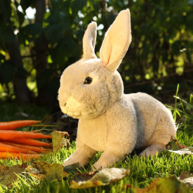 Společenské hry - hračky