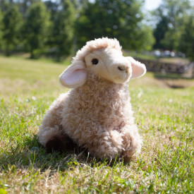 Společenské hry - hračky