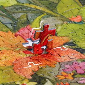 Společenské hry - hračky