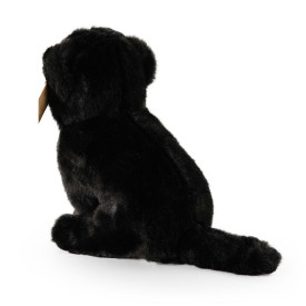 Společenské hry - hračky